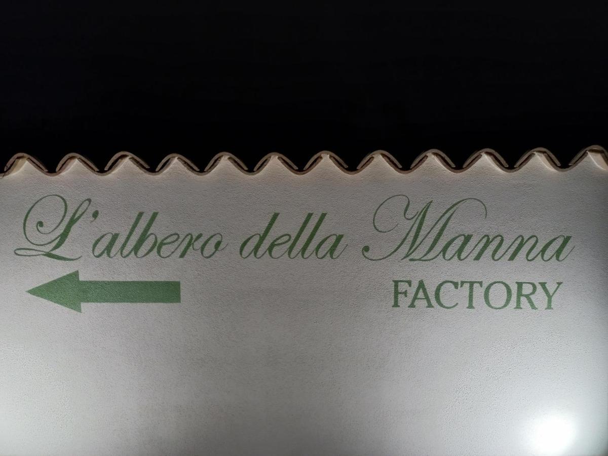 L'Albero Della Manna Bed and Breakfast Patti Exteriör bild