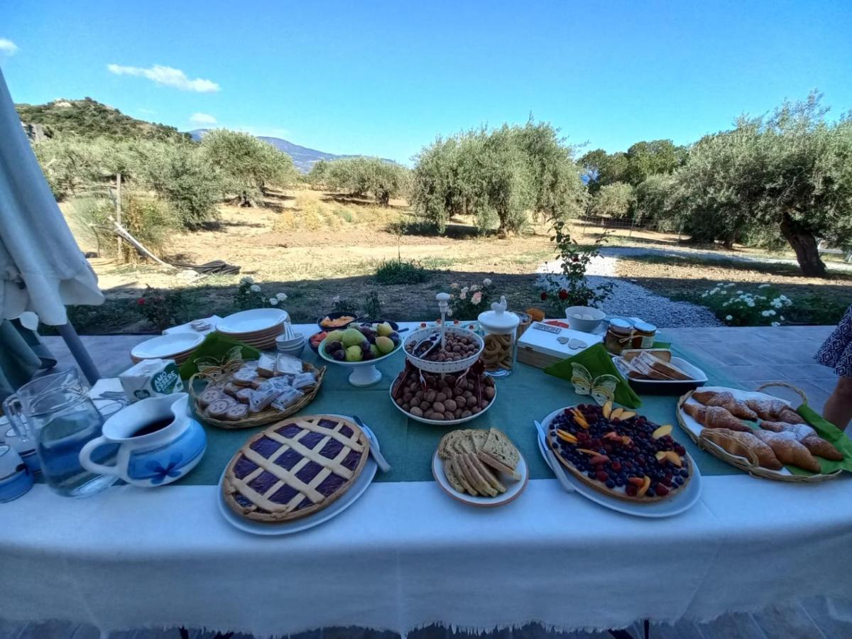 L'Albero Della Manna Bed and Breakfast Patti Exteriör bild
