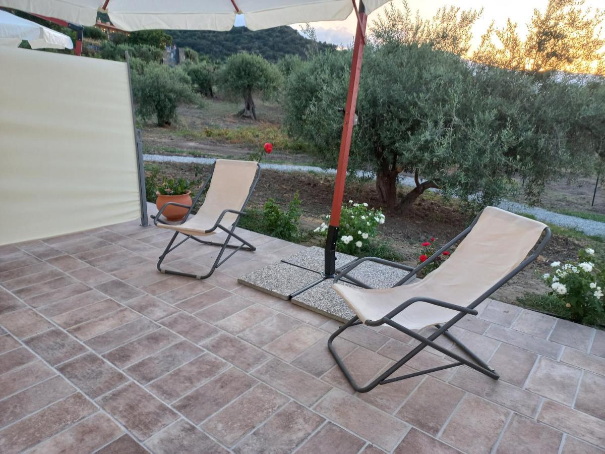 L'Albero Della Manna Bed and Breakfast Patti Exteriör bild