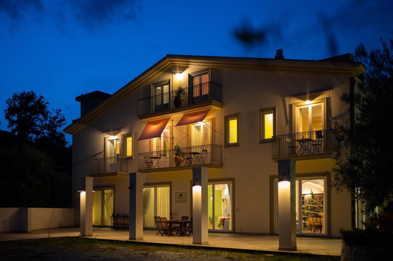 L'Albero Della Manna Bed and Breakfast Patti Exteriör bild