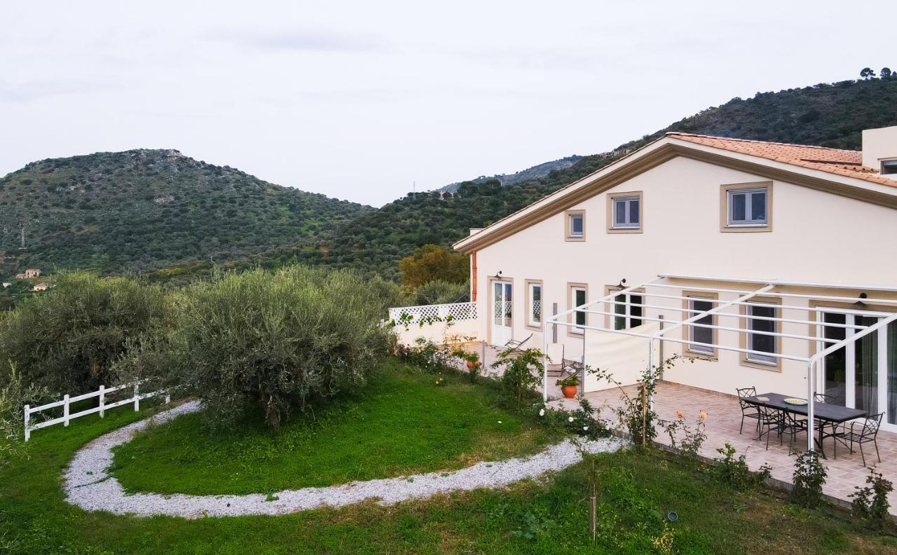 L'Albero Della Manna Bed and Breakfast Patti Exteriör bild